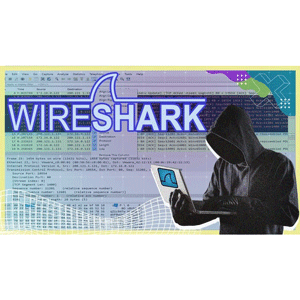 学习 Wireshark 像一个 Pro 手在包装上捕捉和观看 2025-2
