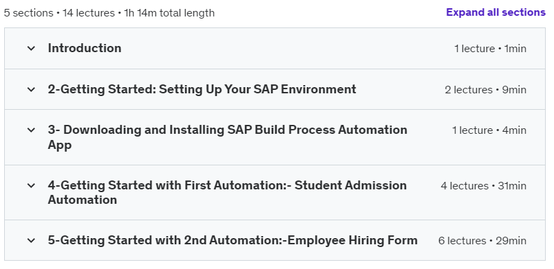 Course topics · Udemy — SAP Build Process Automation: Master Workflow Automation 2024-10