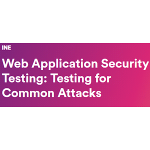 Web Application Security Testing: Testing for Common Attacks 2023-9