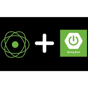 Build Reactive MicroServices using Spring WebFlux/SpringBoot 2022-11/2024-11