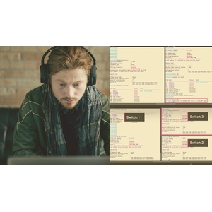 Pluralsight — Cisco Enterprise Networks: Layer 2 Foundations 2024-9