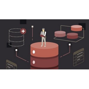 LinkedIn — Advanced MySQL Database Administration 2024-9