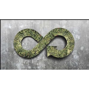 Udemy — The Circular Economy 2025-4