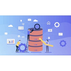 Udemy — Complete DBMS: ER Modeling, SQL and Concurrency Control 2026-4